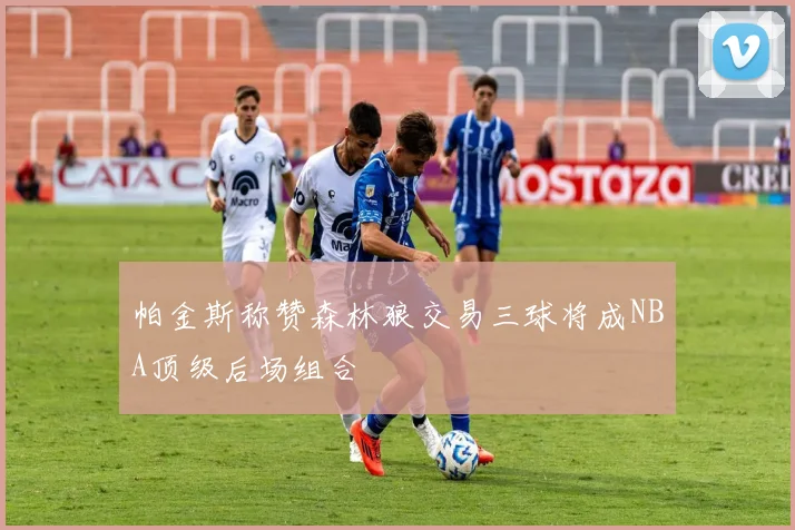 帕金斯称赞森林狼交易三球将成NBA顶级后场组合
