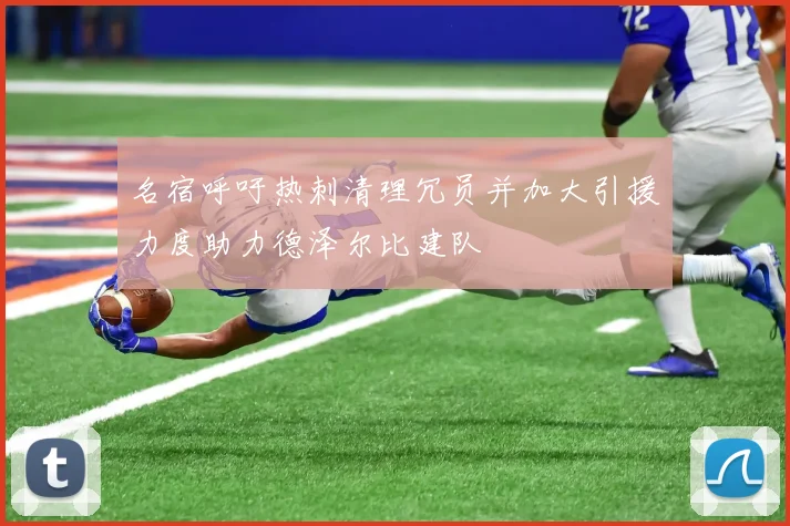 名宿呼吁热刺清理冗员并加大引援力度助力德泽尔比建队